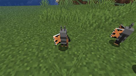 Image result for Butterfly Forge Mod