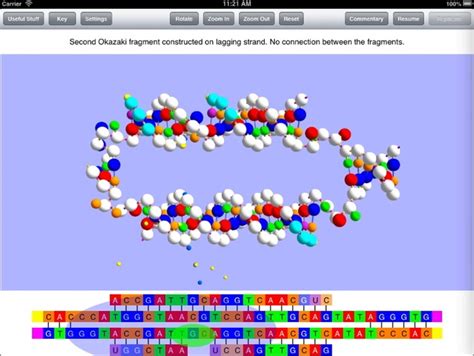 CMOS Electronic DNA Replication 的图像结果