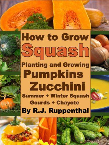 How to Grow Squash: Planting and Growing Pumpkins, Zucchini, Summer and ...