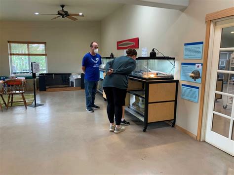 Volunteer - New Mexico Wildlife Center