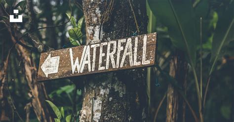 Tree Well Sign 的图像结果