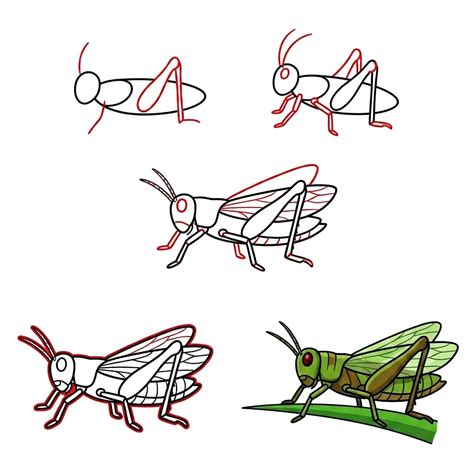 10+ Easy and Cute Grasshopper Drawing Ideas - Drawing Photos