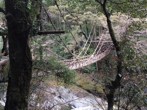 Iya Kazura Bridge (Miyoshi) - What to Know Before You Go (with Photos ...