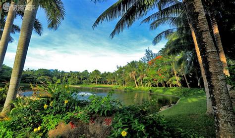兴隆热带植物园-海南-当地指南