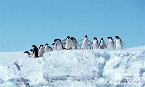 南极洲冰层下面埋藏着哪些秘密？南极奇怪的发现中到底哪些才是真实的呢？_腾讯新闻