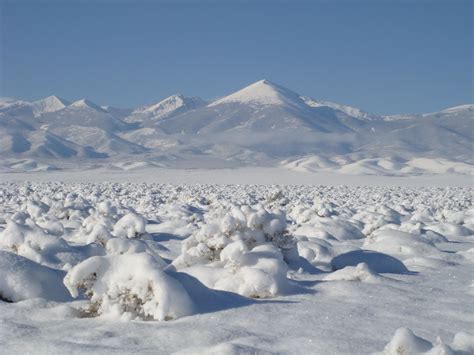 nevada snow | Desert climate, Great basin, Cold deserts