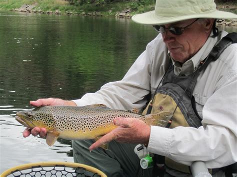 Green River Flyfishing Report 7.28.12 - Jay Scott Outdoors/Colburn and ...