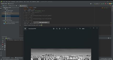 Python 图片 的图像结果