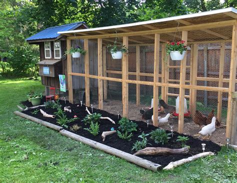 Building Chicken Coop With Run at Iesha Narvaez blog