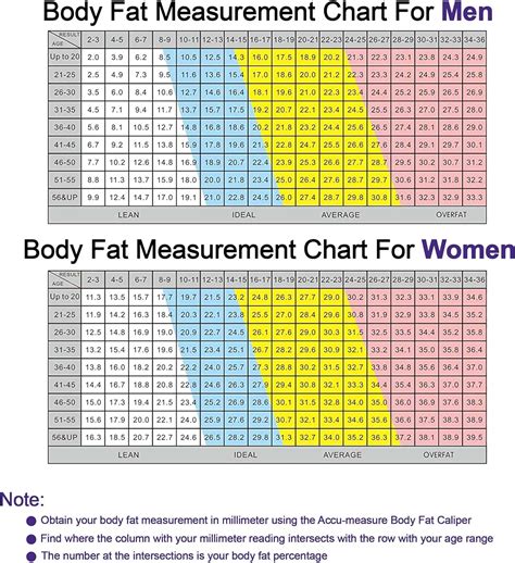 Buy Accu-Measure Body Fat Caliper - Handheld BMI Body Fat Measurement ...