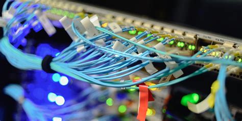 Network System 的图像结果