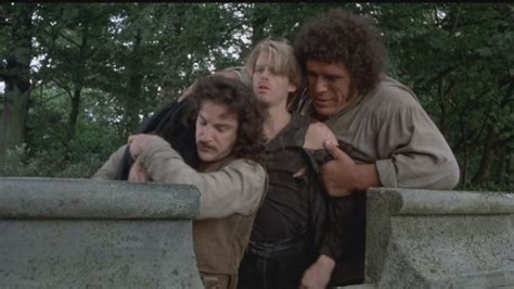 Image result for Princess Bride Remake
