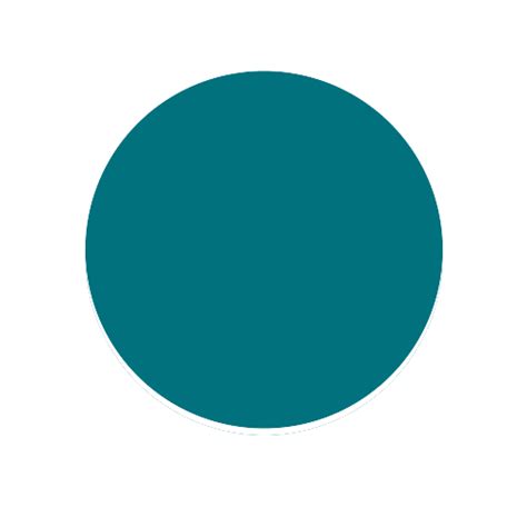 Image result for Circle Code in JSON Format