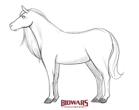 How To Draw A Horse Easy In 10 Steps [Video + Images]