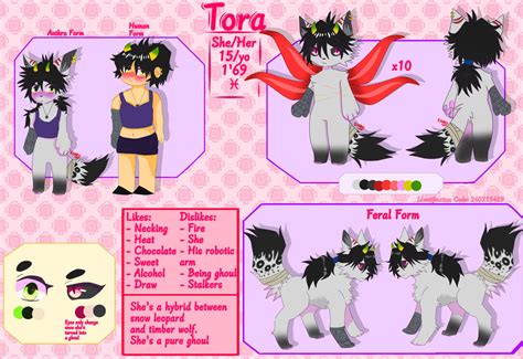 TOra Tutorial 的图像结果