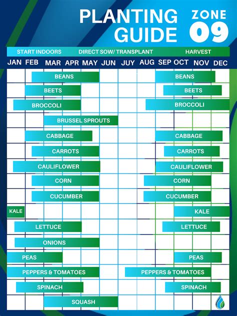 Zone 9 Planting Calendar