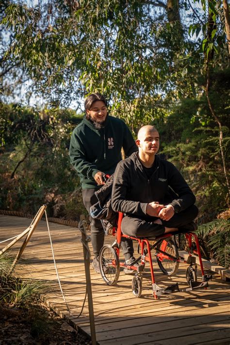 Image result for Disability Program