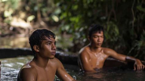 Primitive Pool 的图像结果