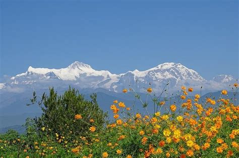 Incredible Nepal with Pokhara and Nagarkot Tour 2025 - Kathmandu - Viator