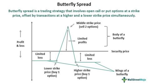 Image result for Butterfly Options