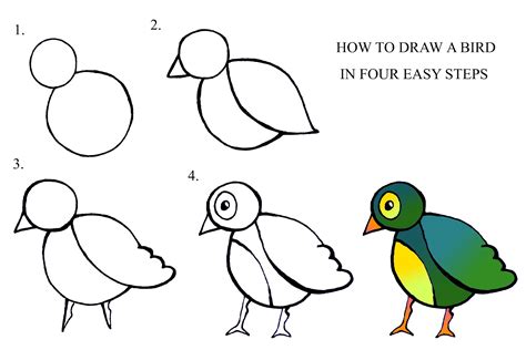 How To Draw A Bird Step By Step Easy Drawing Lesson F - vrogue.co