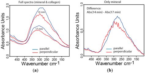 Anisotropy in Bone Demineralization Revealed by Polarized Far-IR ...