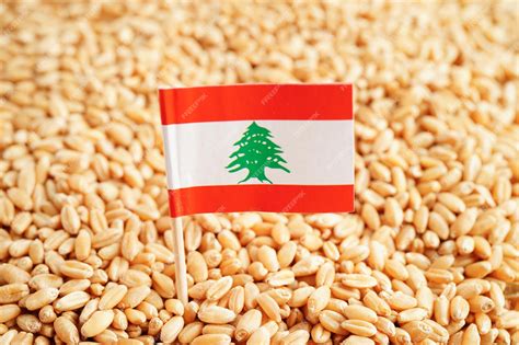 Premium Photo | Lebanon flag on grain wheat trade export and economy concept