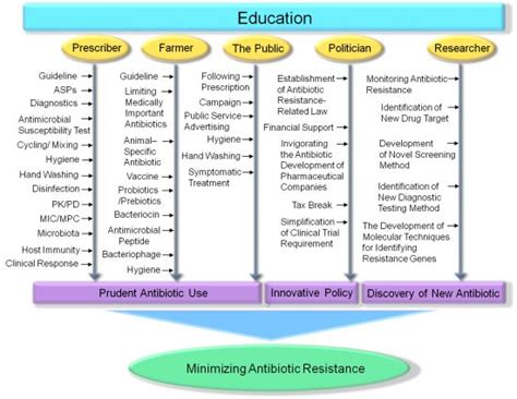 Strategies to Minimize Antibiotic Resistance
