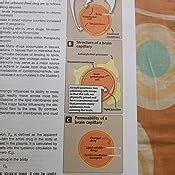 Buy LIR Pharmacology -2nd SAE Book Online at Low Prices in India | LIR ...