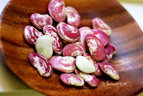 How To Cook Fresh Lima Beans In The Pod at Mandi Mcleod blog