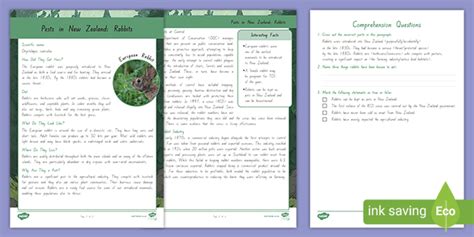 Pests in New Zealand: Rabbits Fact File (teacher made)