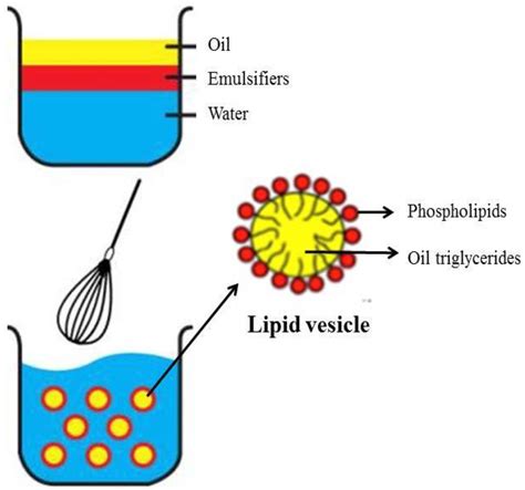 Lipid Emulsion to Treat Acute Poisonings: Mechanisms of Action ...