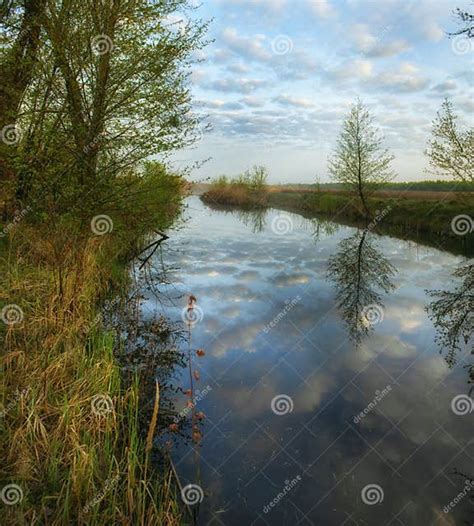 Image result for Water Reflection Spring