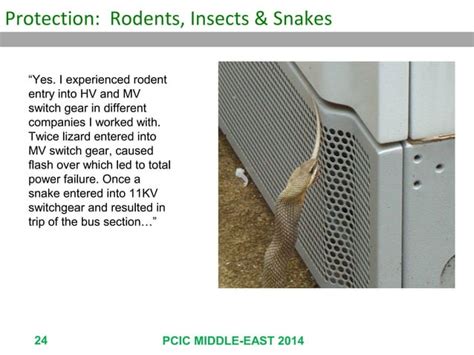 MCT Compression Plate 的图像结果