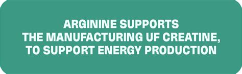 Buy Boldfit L-arginine Tablets 1000mg With Nitric Oxide Amino Acid ...