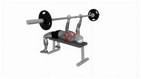 Exercise Animation 的图像结果