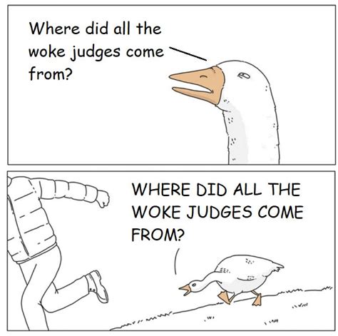 Fallacy Types 的图像结果