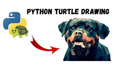 Python Drawing Code 的图像结果