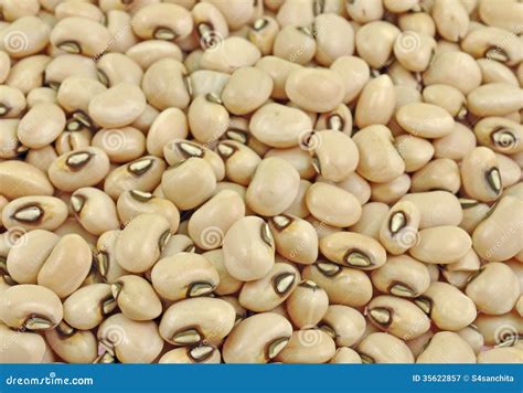Black Eyed Peas Seeds at Linda France blog