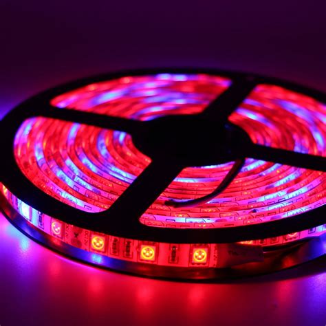 Image result for Spectrum LED Lights