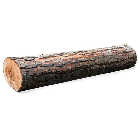 Image result for Log Scale PNG