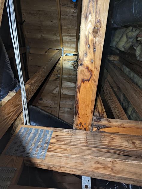 Mysterious Roof Leak : r/Roofing