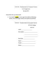 Computerized Lab Report 的图像结果