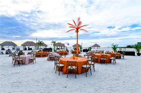 Image result for Palms Wizard Connection