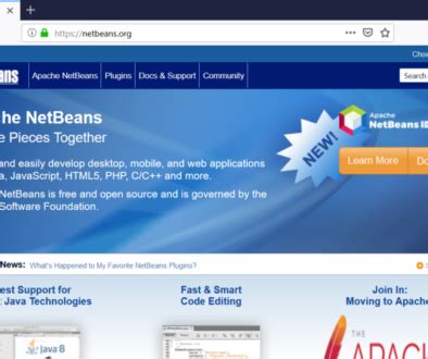 Image result for Java Netbeans Website Examples