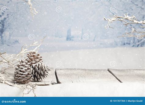 冬天圣诞节场面 库存照片. 图片 包括有 白兰地酒, 下降, 场面, 下雪, 古尔德, 雪花, 圣诞节 - 101787784