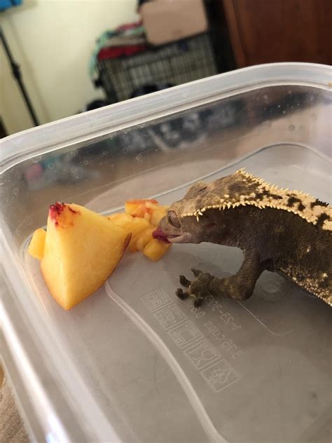 Decoding What Does Hiii Mean From A Girl - The Order Exposed