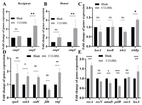 Quorum-Sensing C12-HSL Drives Antibiotic Resistance Plasmid Transfer ...