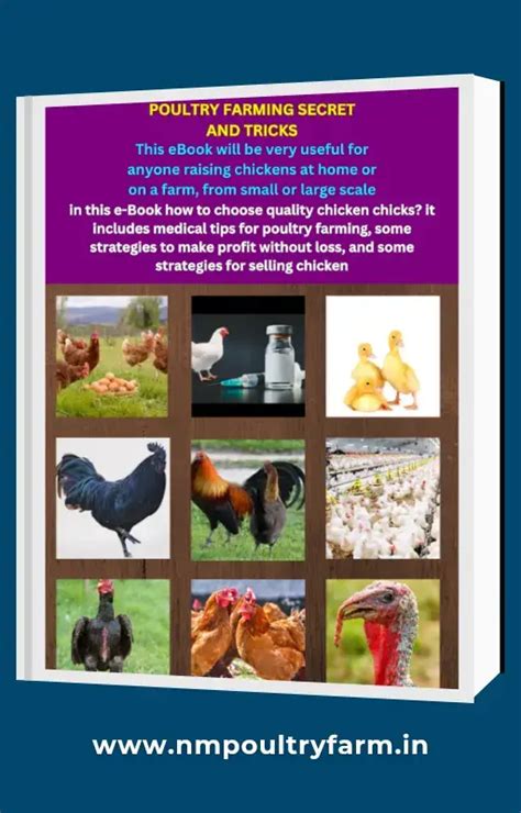 Custom Page | Shop online at NM POULTRY FARM