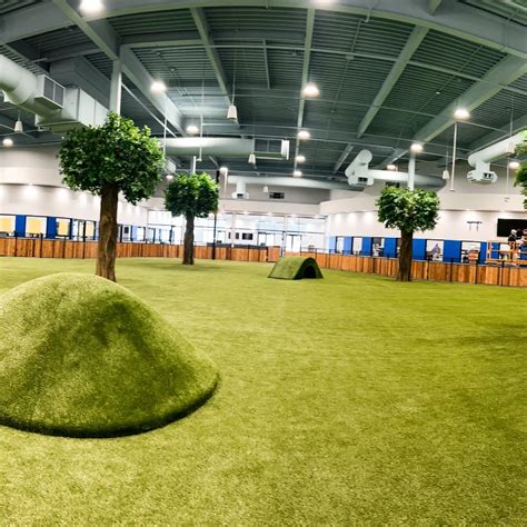Indoor Dog Park - Petfinity